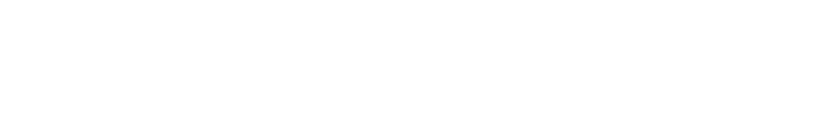 Logo Light 2